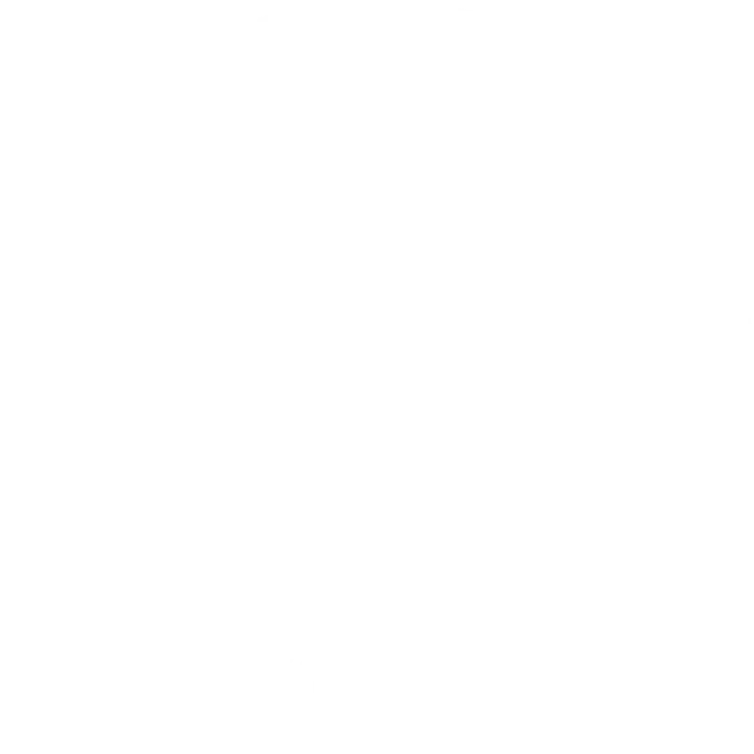 stefanschoerghuberpreis.de Logo Weiß