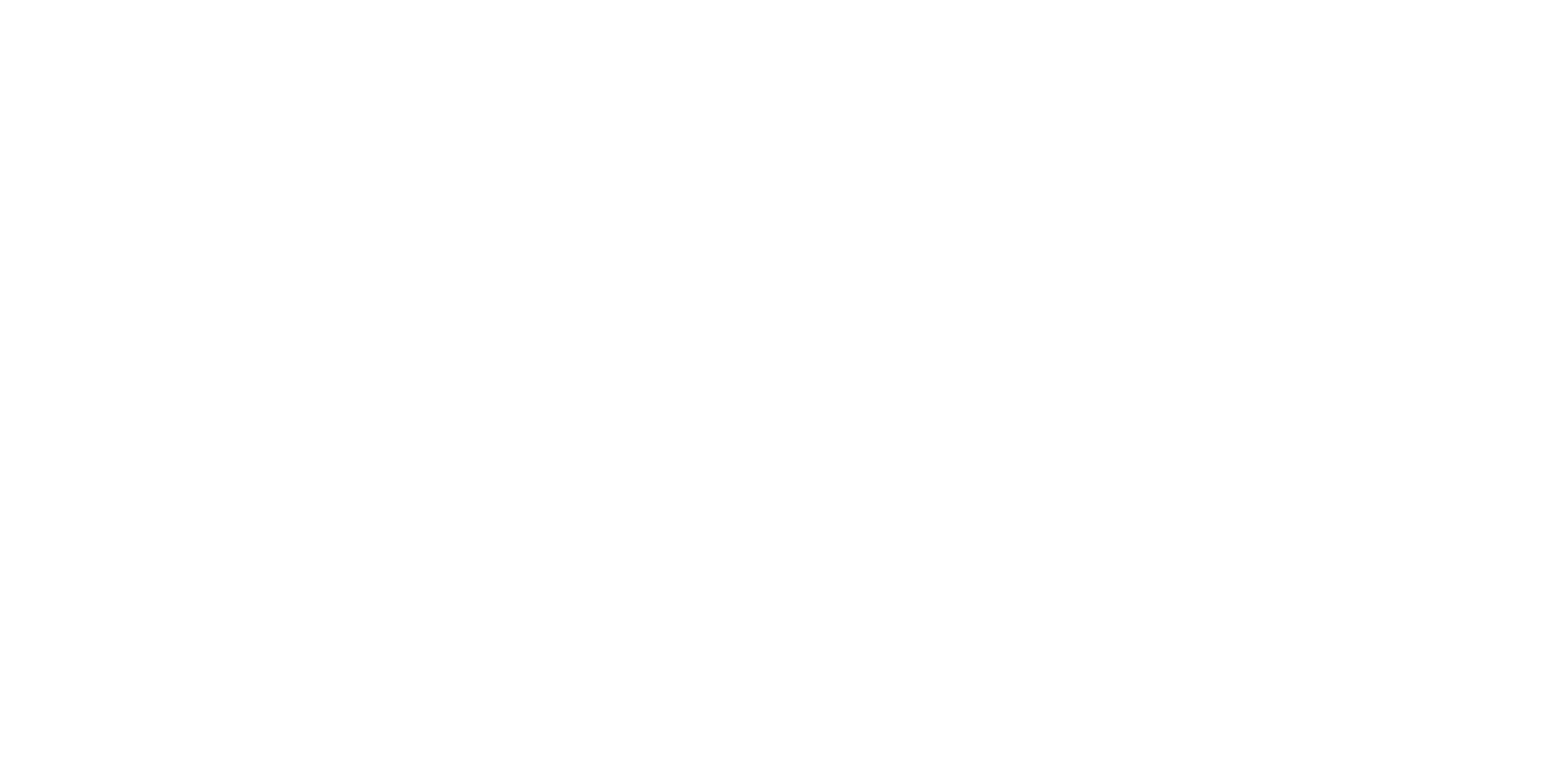 Loser Branding logo