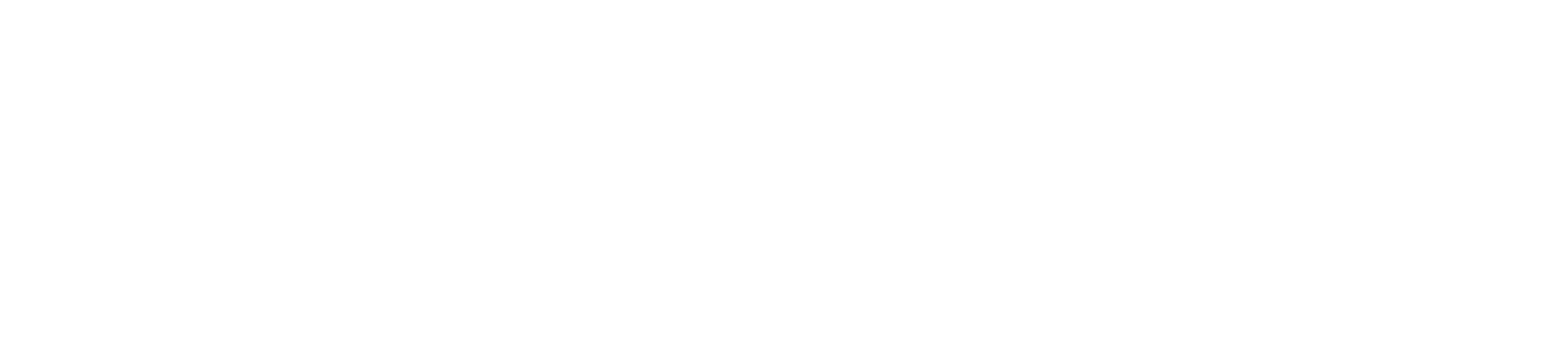 Marketing Like No Other logo
