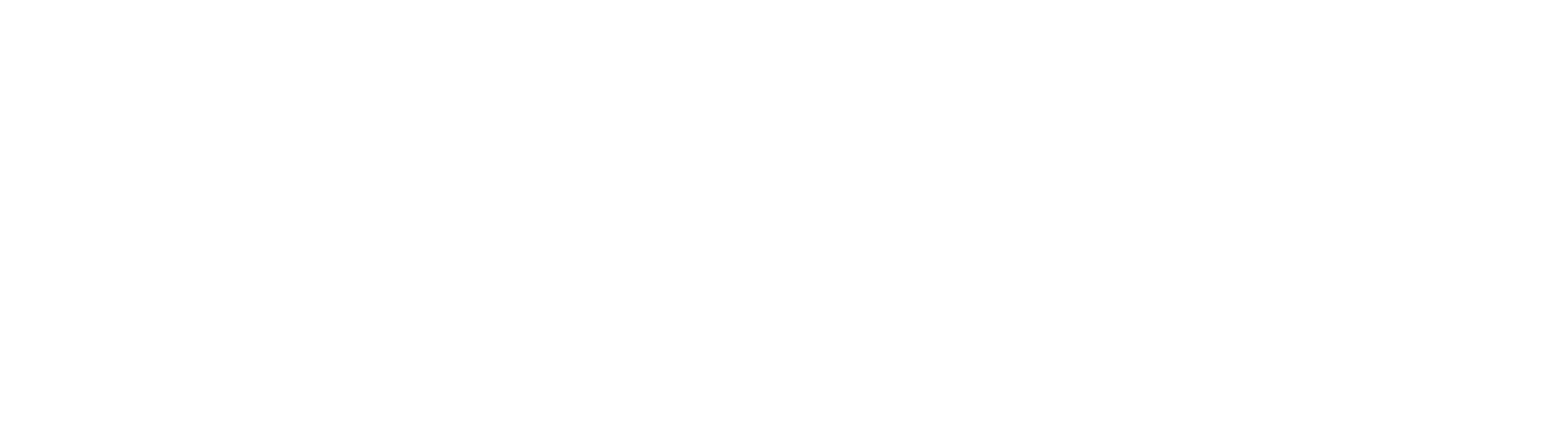 Victus Vision logo Victus Vision logo
