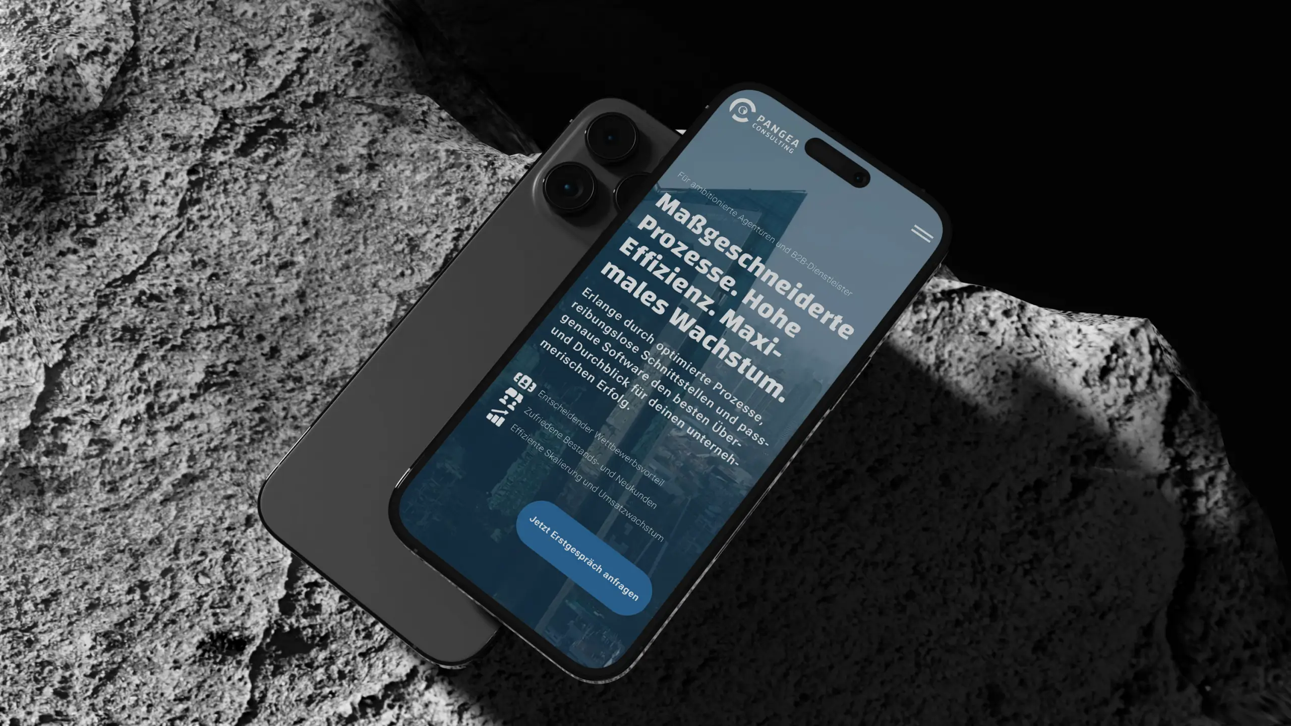 pangeaconsulting.de Website Mockup