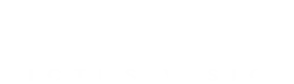 Victus Vision logo