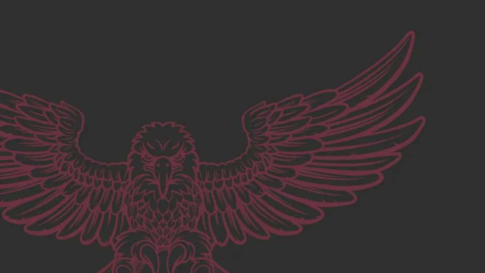 Vivo Aventuras website design detail